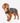 BARBOUR CAPPOTTO PER CANI CERATO