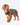 BARBOUR CAPPOTTO PER CANI CERATO